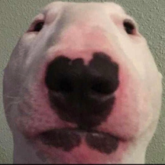 Meet your Posher, No - Picture 1 of 1